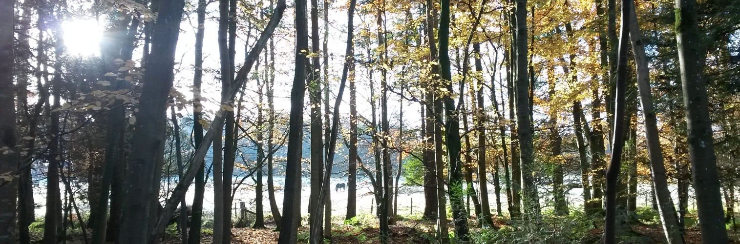 Autumn in Dumfries and Galloway ...