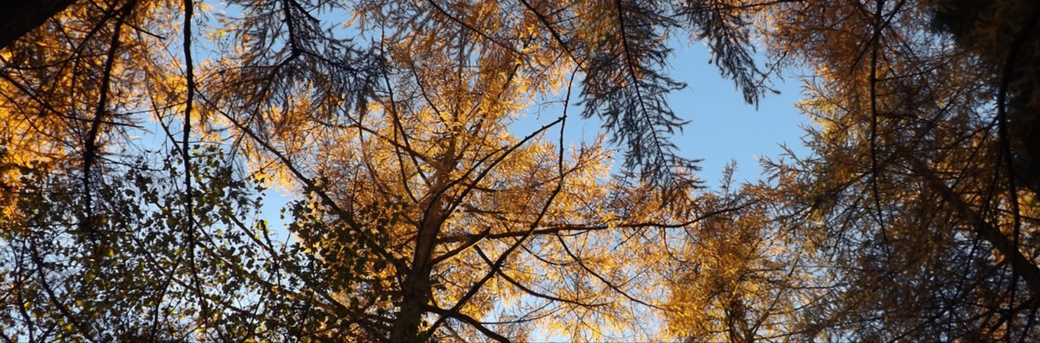 Autumn in Dumfries and Galloway ...